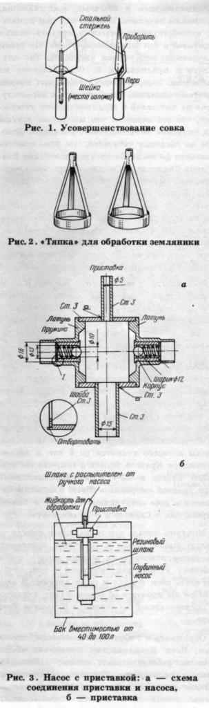 tmp6933-1